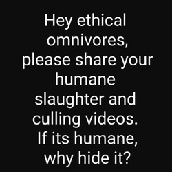 StopAnimalCruelty